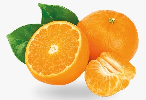 Fruta cítrica de tamaño pequeño, color naranja y fácil de pelar. Rica en vitamina C, antioxidantes y fibra, de sabor dulce y jugoso. Nombre científico: Citrus Reticulata. Tamaño: 58 a 67 mm Disponibilidad: Febrero - Septiembre Empaque: Cajas de Cartón Presentaciones: 10 kg y 15 kg.